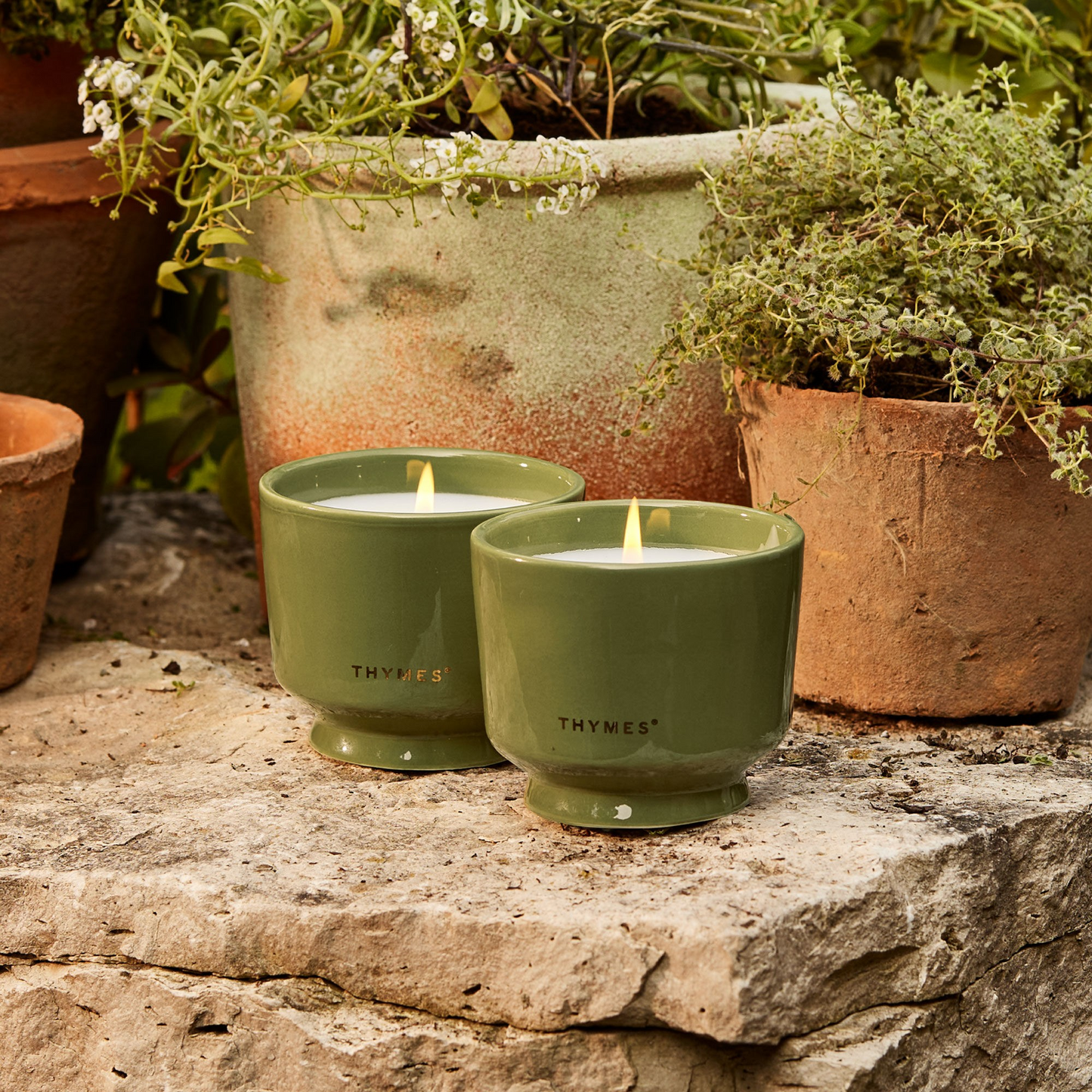 Thymes Citronella Grove Aromatic Candle Set