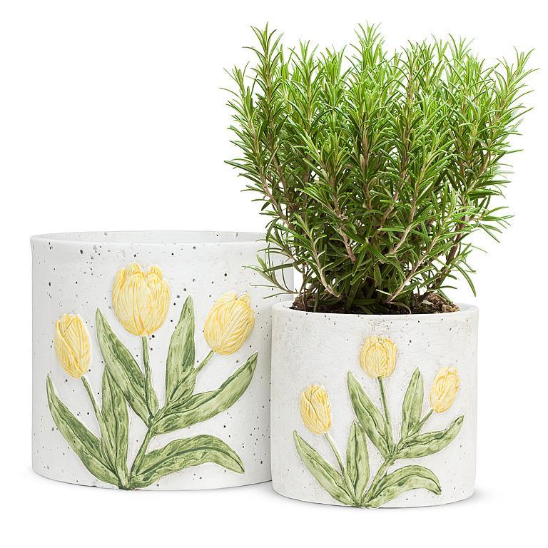 Small Planter with Tulip