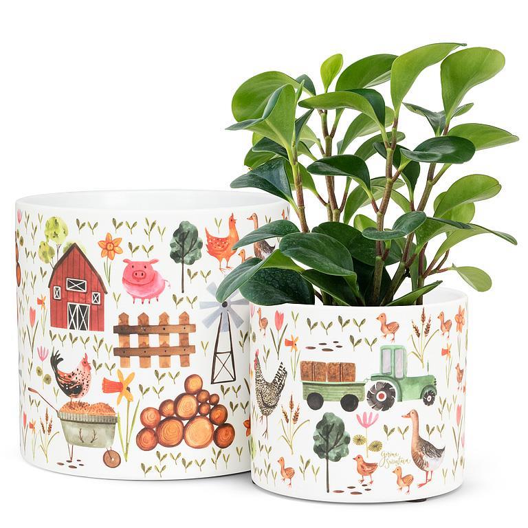 Large Farmyard Planter