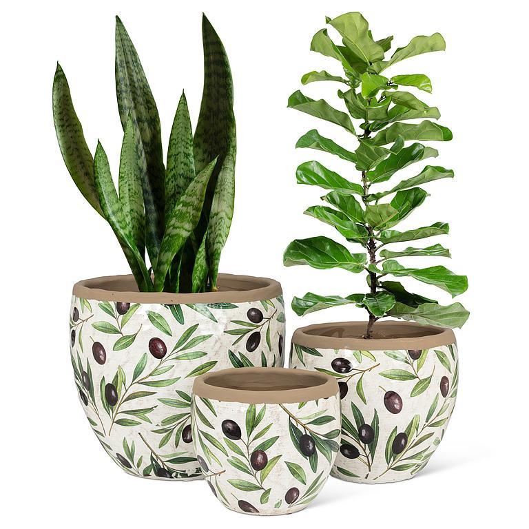 Medium Olive & Branch Planter
