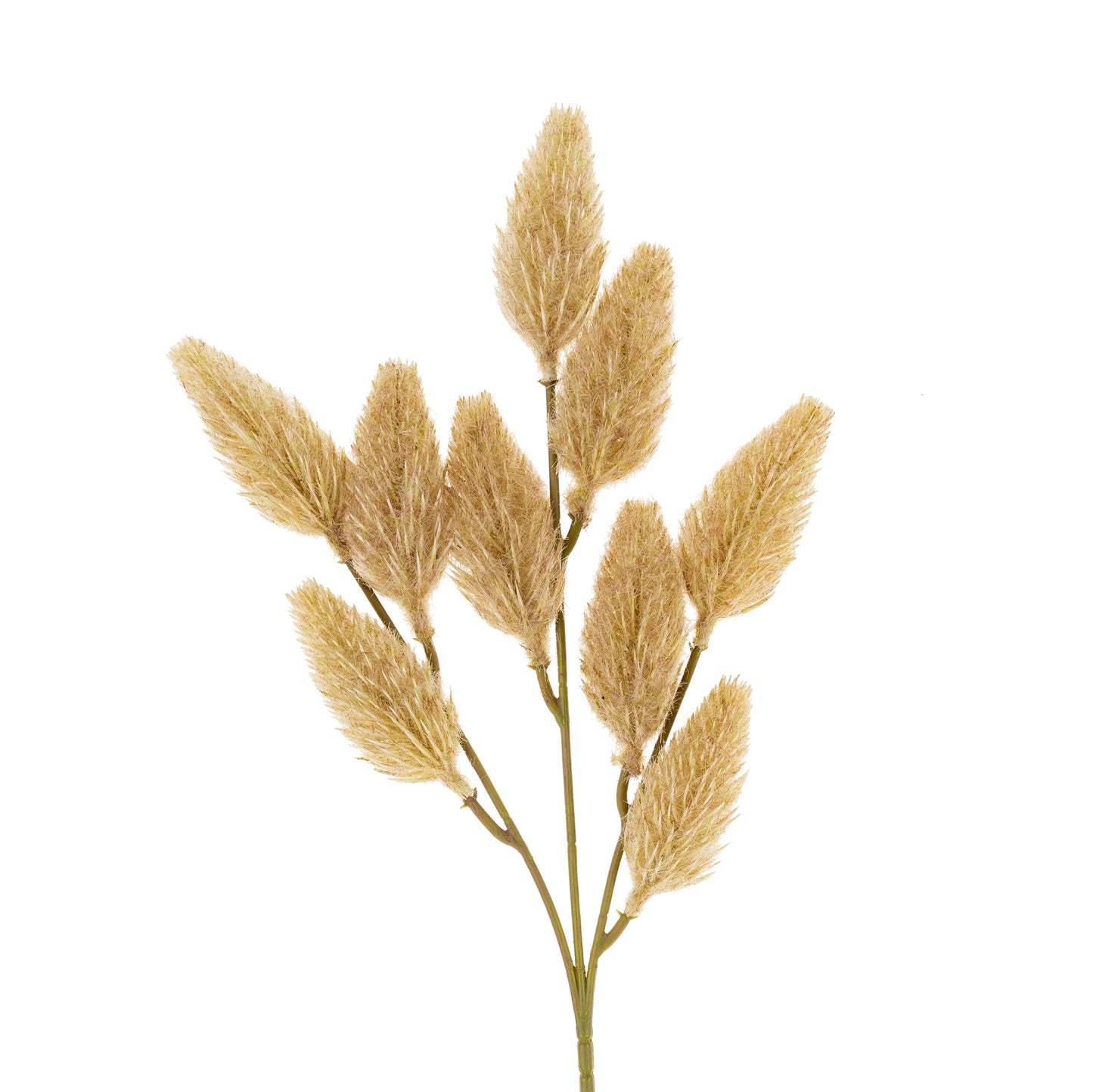 Bunny Tail Spray | Natural
