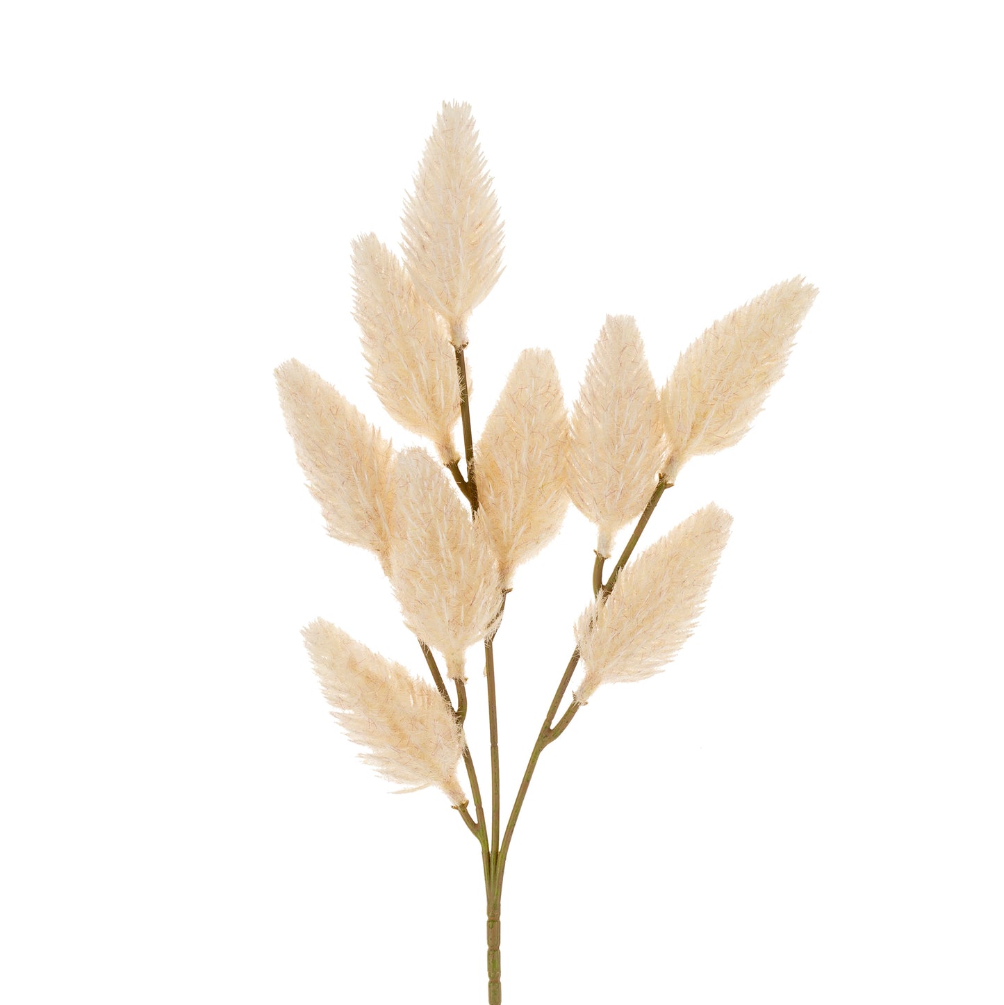 Bunny Tail Spray | Cream