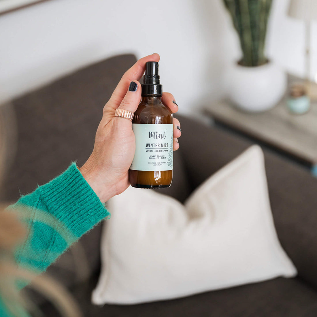 Mint | Winter Mist