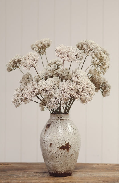 Queen Anne's Lace Spray