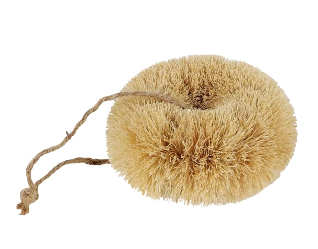 Dish brush