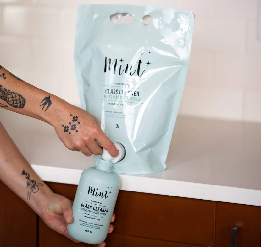 Mint | Glass Cleaner | Party Pouch