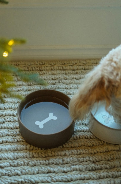 Pottery Pet Bowl | Large | Earth