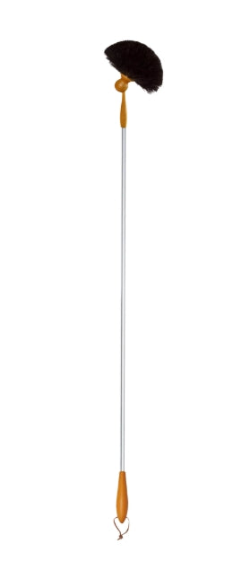Cobweb Broom