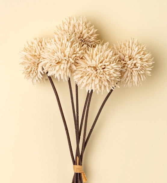 Mini Allium Bouquet | Cream