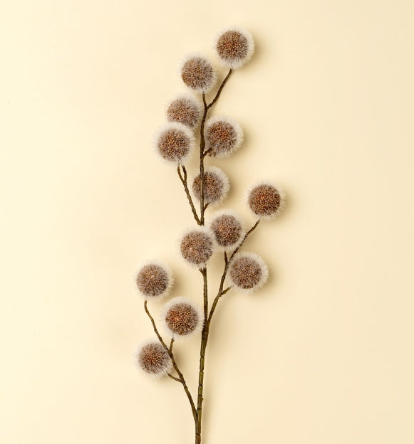 Sycamore Pod Spray