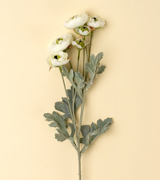 Ranunculus Spray | White