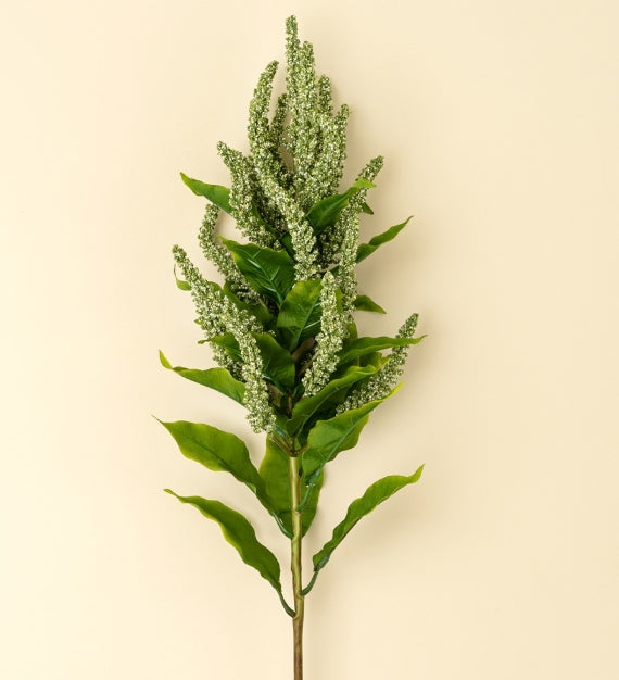 Foxtail Stem | Green