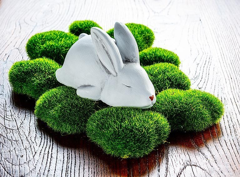 Sleeping White Bunny