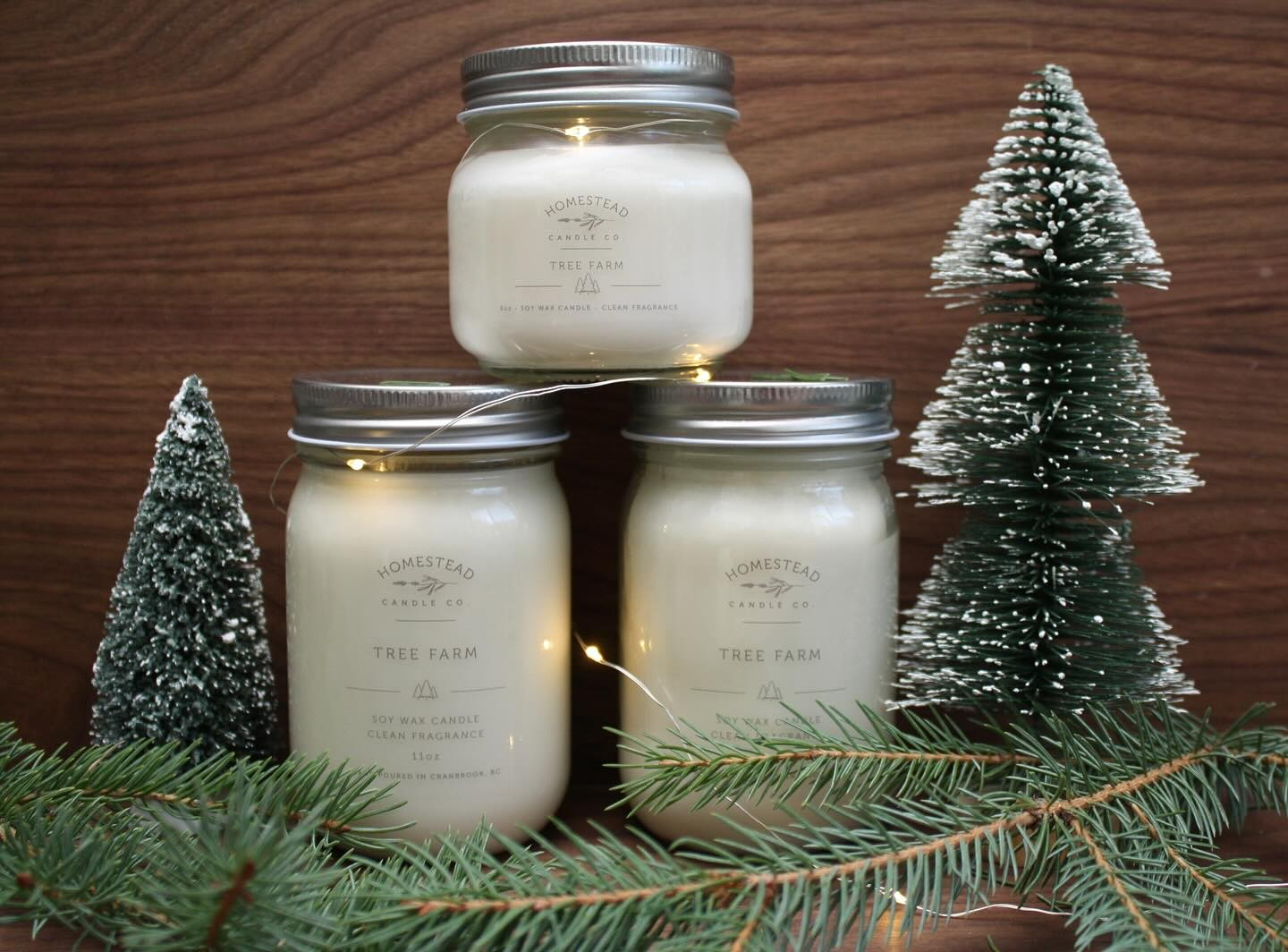 Homestead Candle Co 11oz | Tree Farm