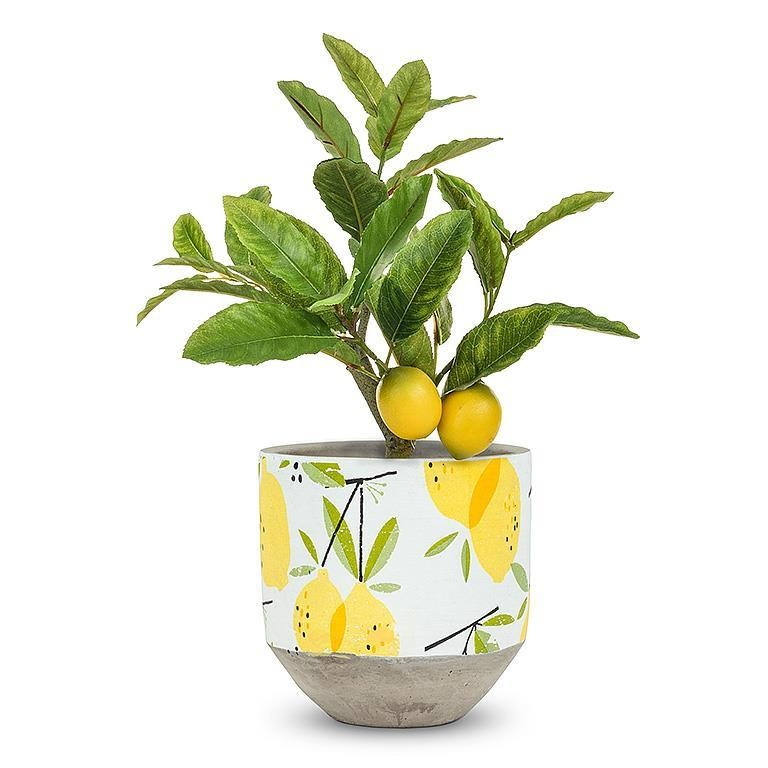 Medium Lemon Planter