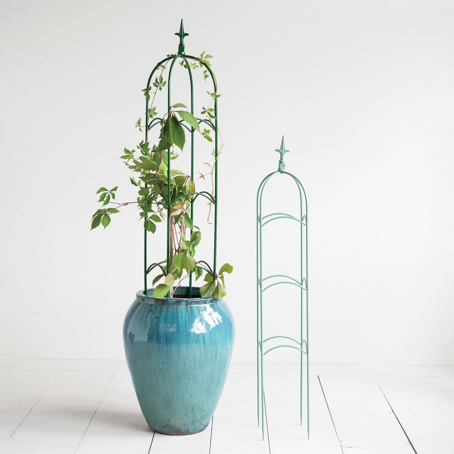 Powder Coated Metal Trellis with Finials | Set of 2