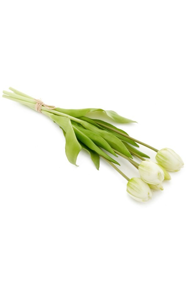 BUNDLE TULIP | LT GREEN