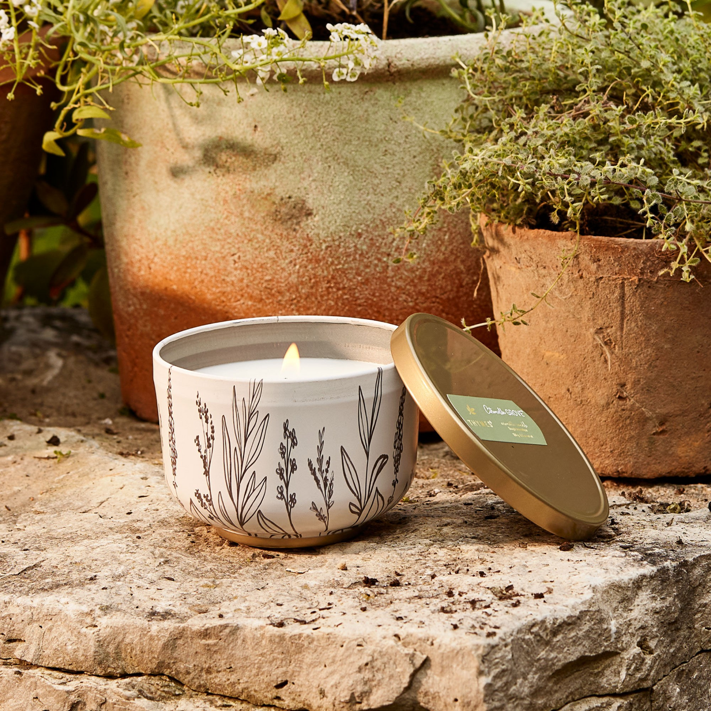 Thymes Citronella Grove Poured Candle Tin with Gold Lid