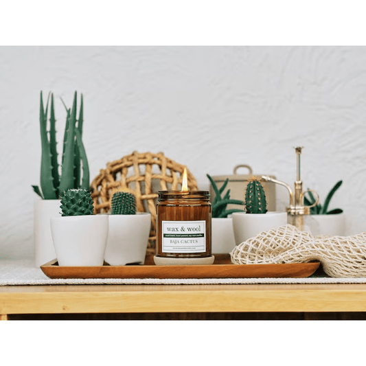 Jar Candle by Wax & Wool | Baja Cactus