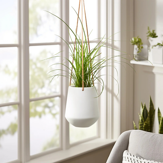 Ashbury Leather Hanging Planter