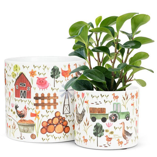 Small Farmyard Planter