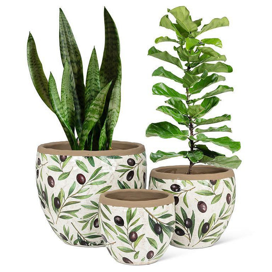 Small Olive & Branch Planter
