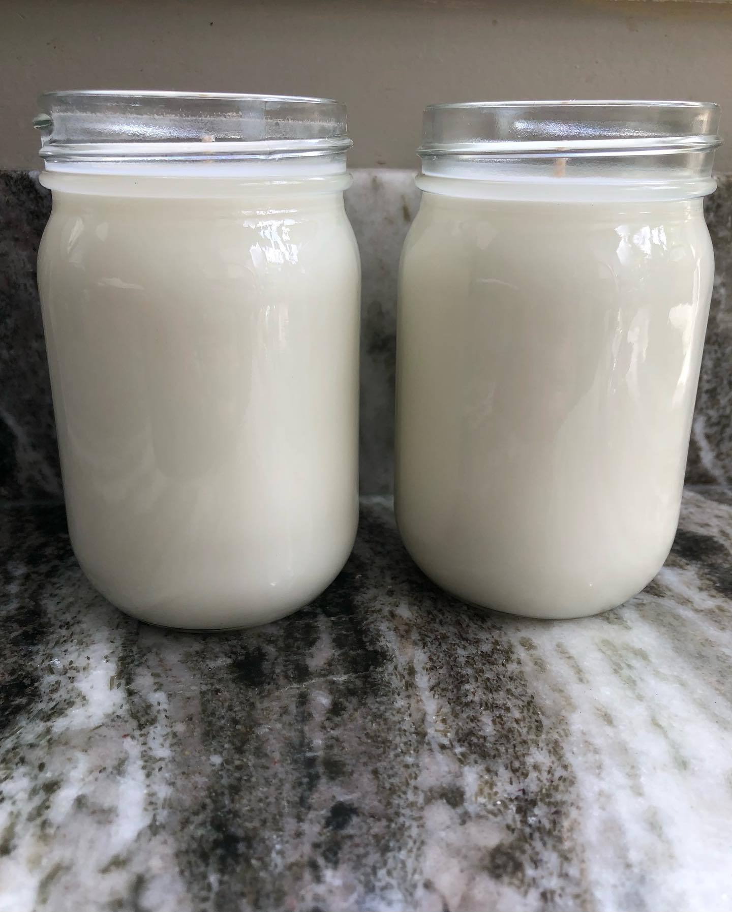 Homestead Candle Co | Vanilla Glow | Large