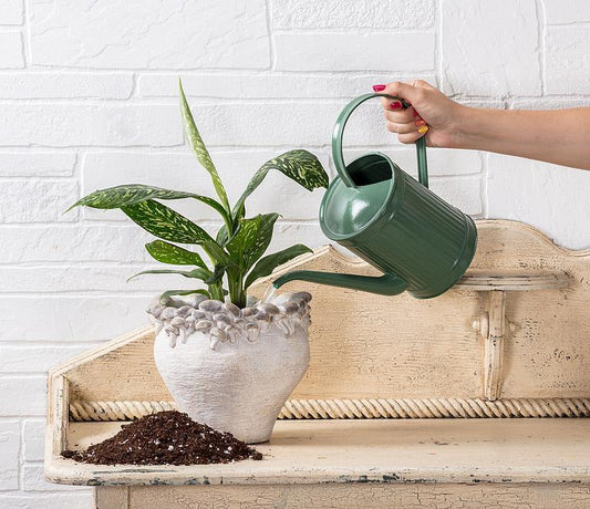 Classic Watering Can