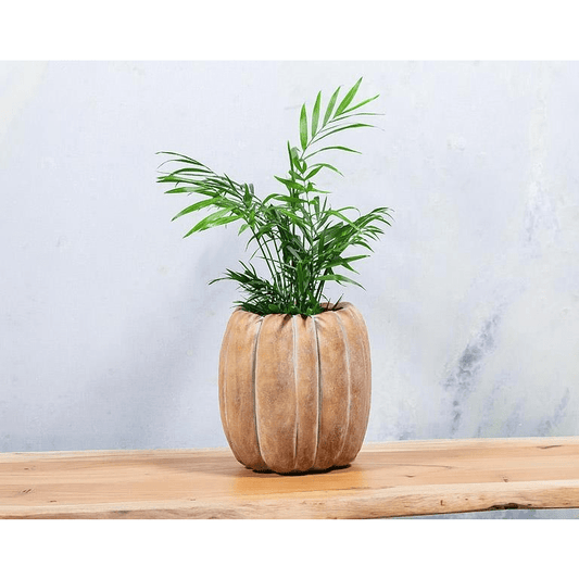 Tall Pumpkin Planter