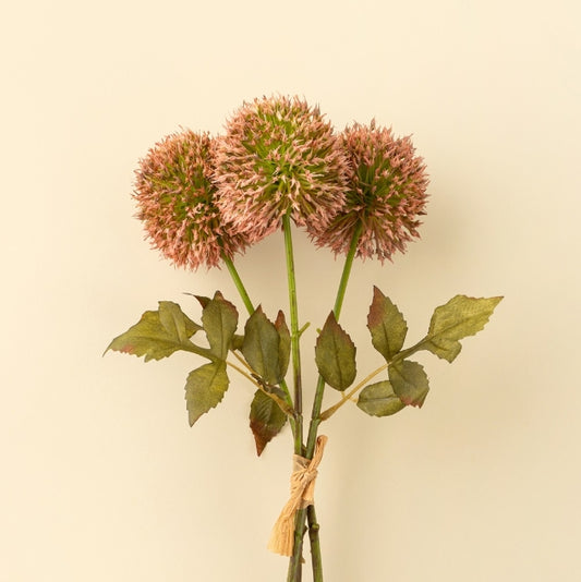 Allium Bouquet |  Pink