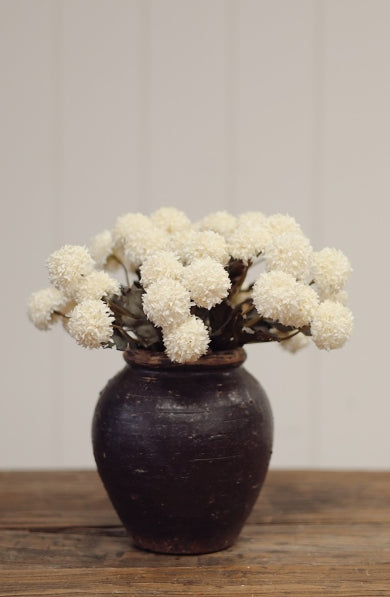 Morandi Bloom Bouquet | Cream