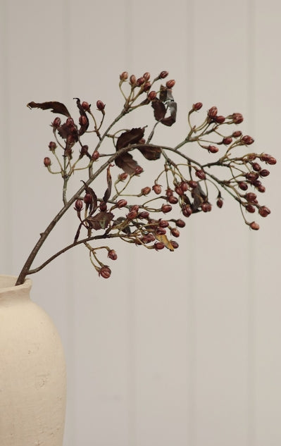 Hipericum Spray