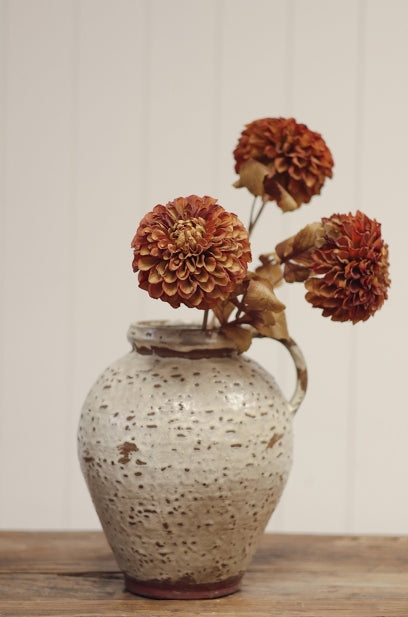 Pompon Dahlia Stem | Brown