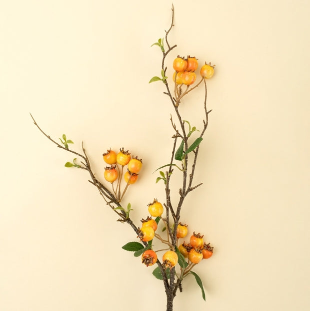 Rosehip Branch | Orange