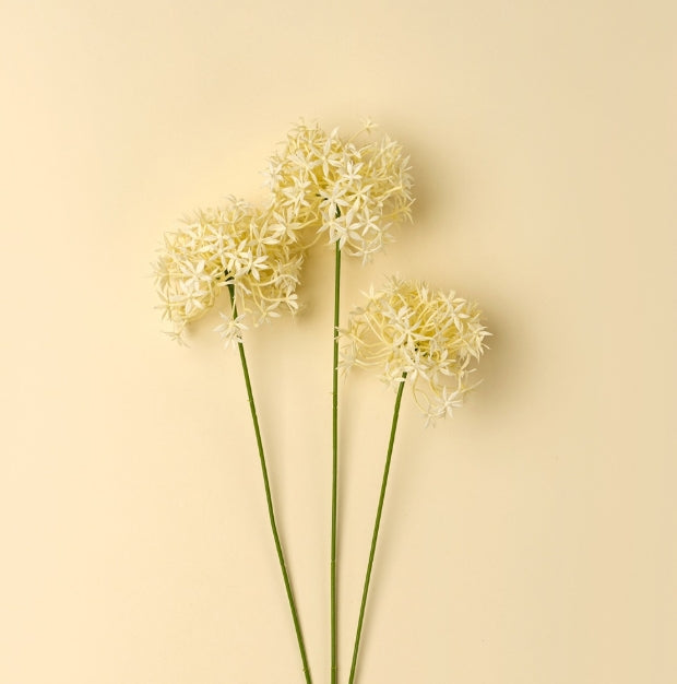 Allium Floral Spray | Cream