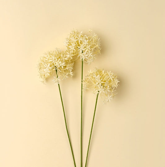 Allium Floral Spray | Cream