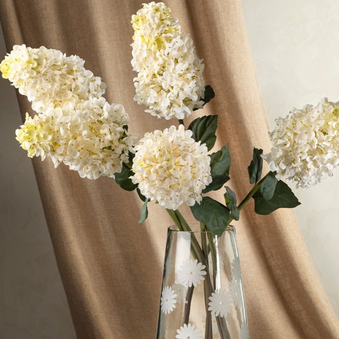 Hydrangea Paniculata Stem