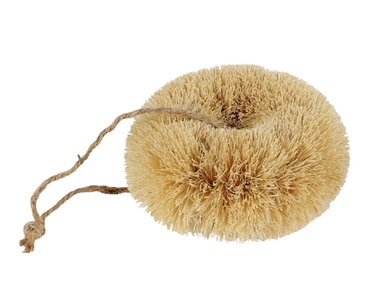 Dish brush