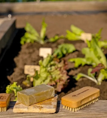 Gardening brush