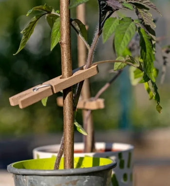 Plant clips