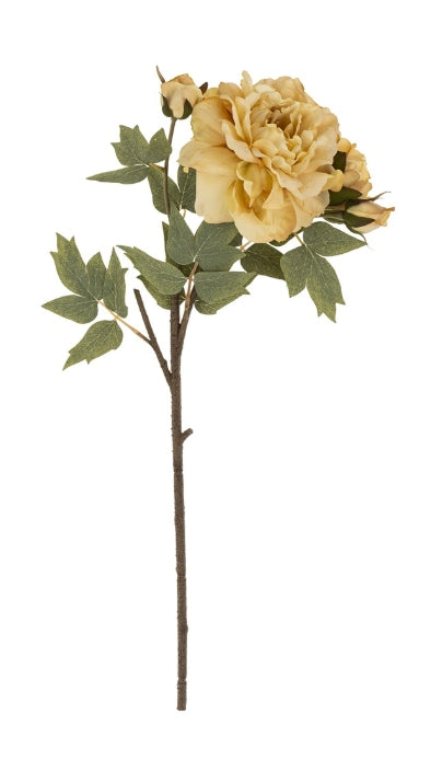 Peony Floral Stem | Butter
