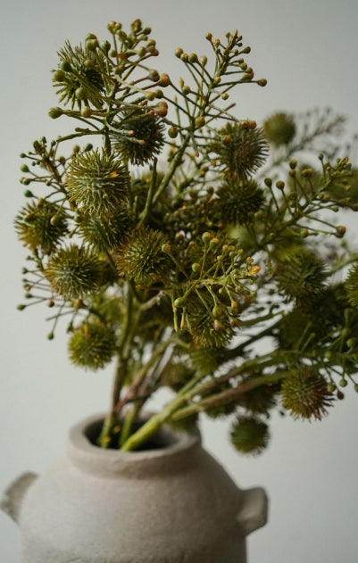 Wild Berry Spray | Green