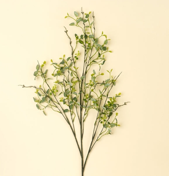 Butterfly Eucalyptus Branch