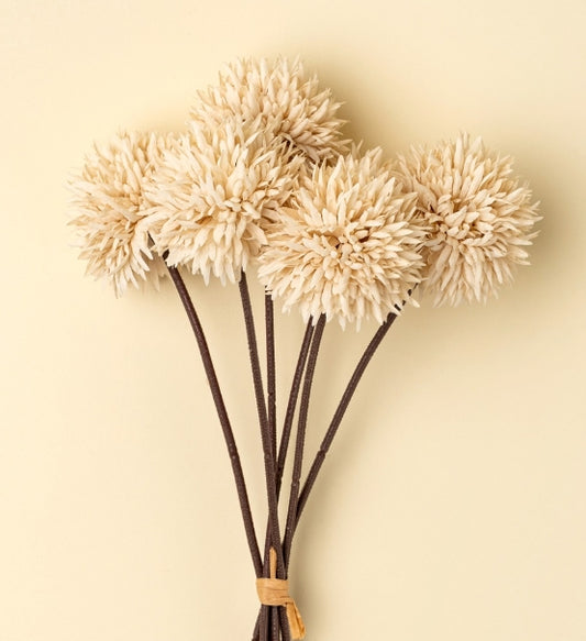Mini Allium Bouquet |  Cream