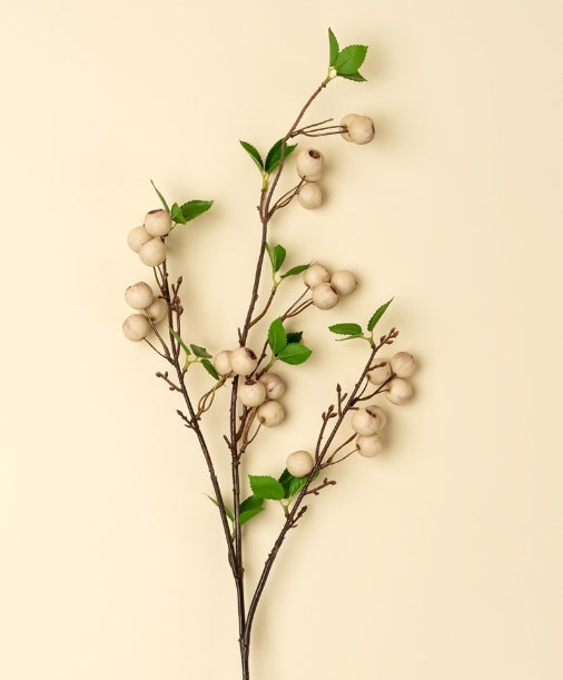 Wild Apple Berry Spray