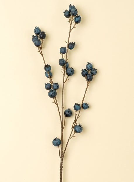 Blueberry Branch