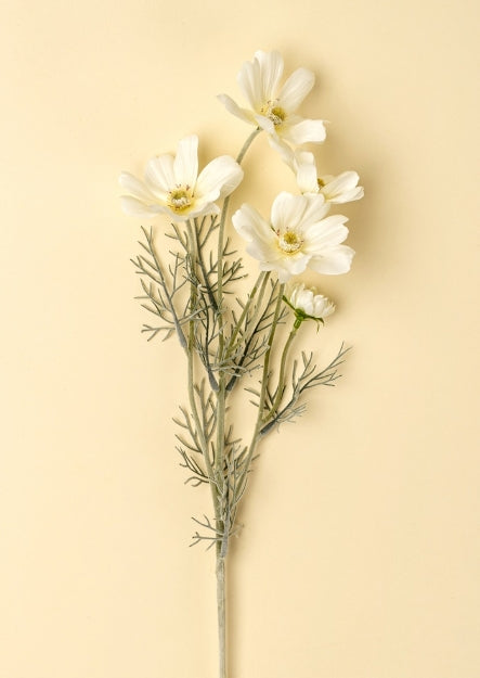 White Cosmos Spray
