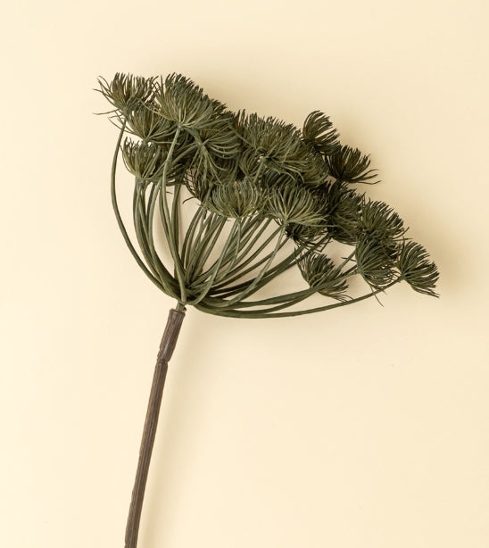 Wild Angelica Stem | Green