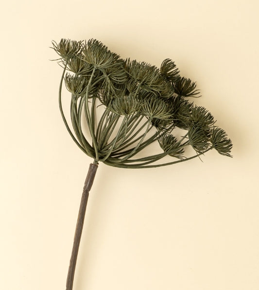 Wild Angelica Stem | Green