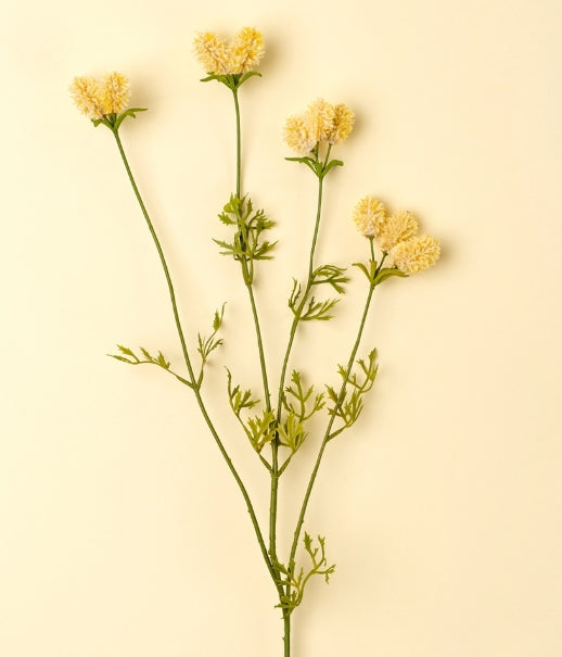 Dandelion Pom Pom Spray | Cream